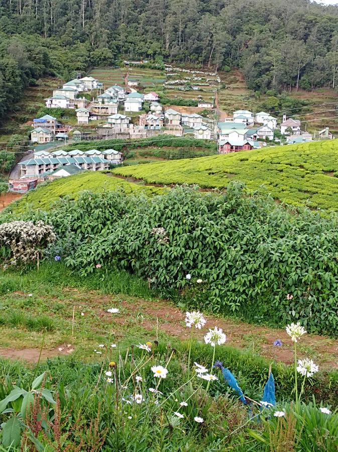 White House Nuwara Eliya